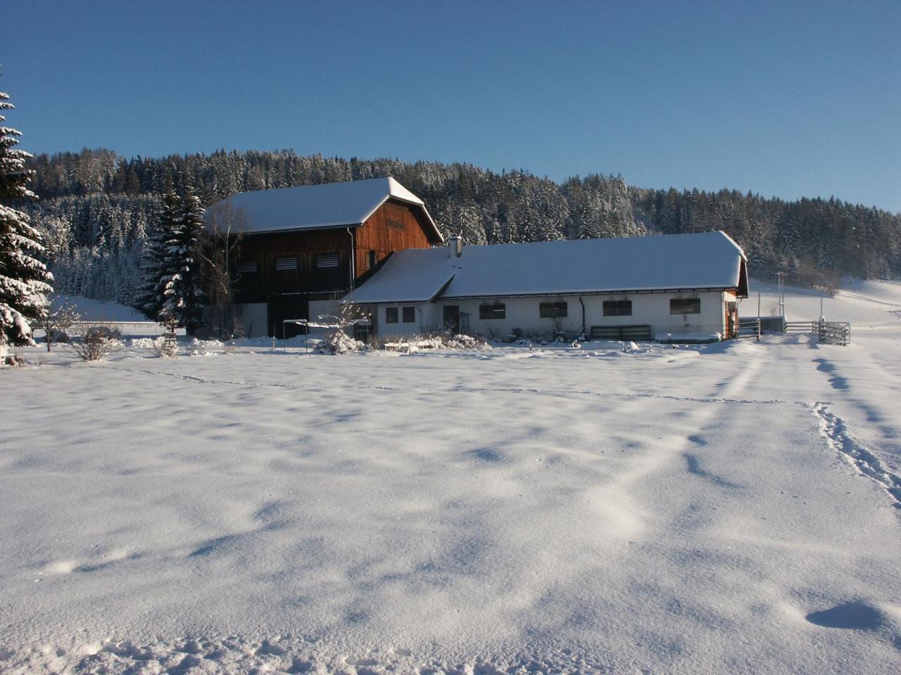 Bio Bauernhof Schoberhof Villa Sankt Andrä im Lungau Exterior foto