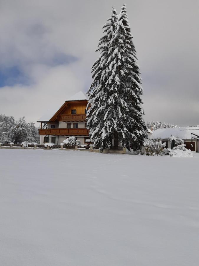 Bio Bauernhof Schoberhof Villa Sankt Andrä im Lungau Exterior foto